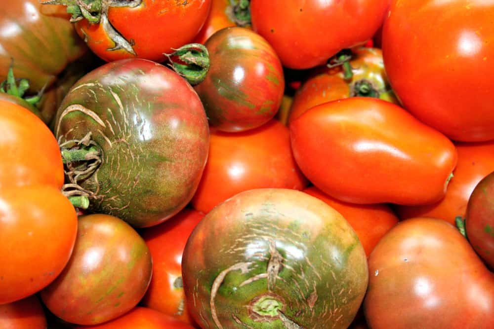 heirloom tomatoes