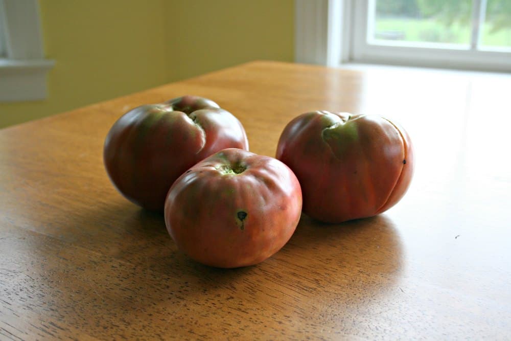 Black Krim tomatoes