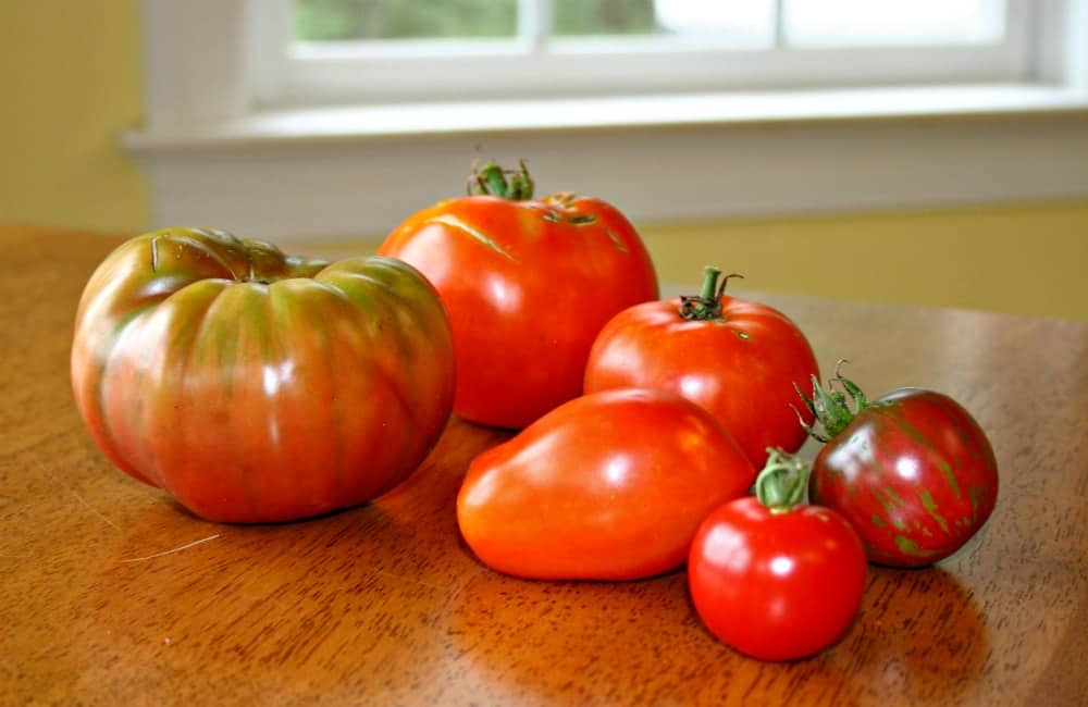 heirloom tomatoes