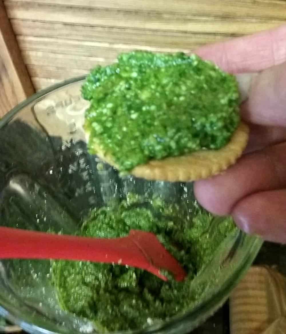 picture of sunflower seed pesto sauce