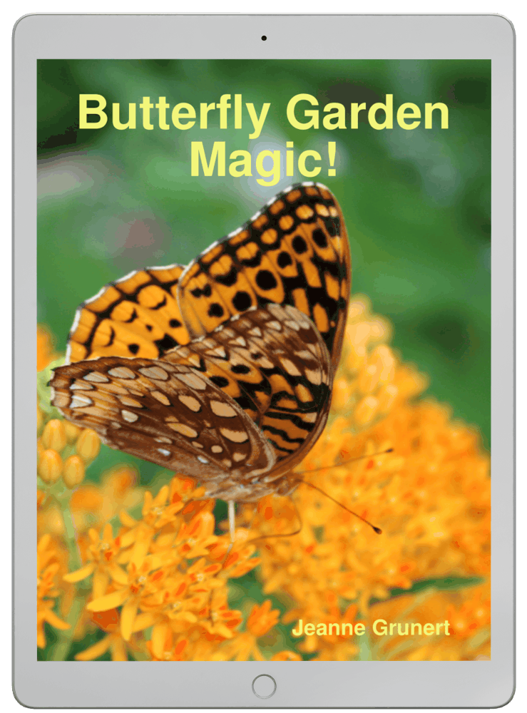 Butterfly Gardening Home Garden Joy