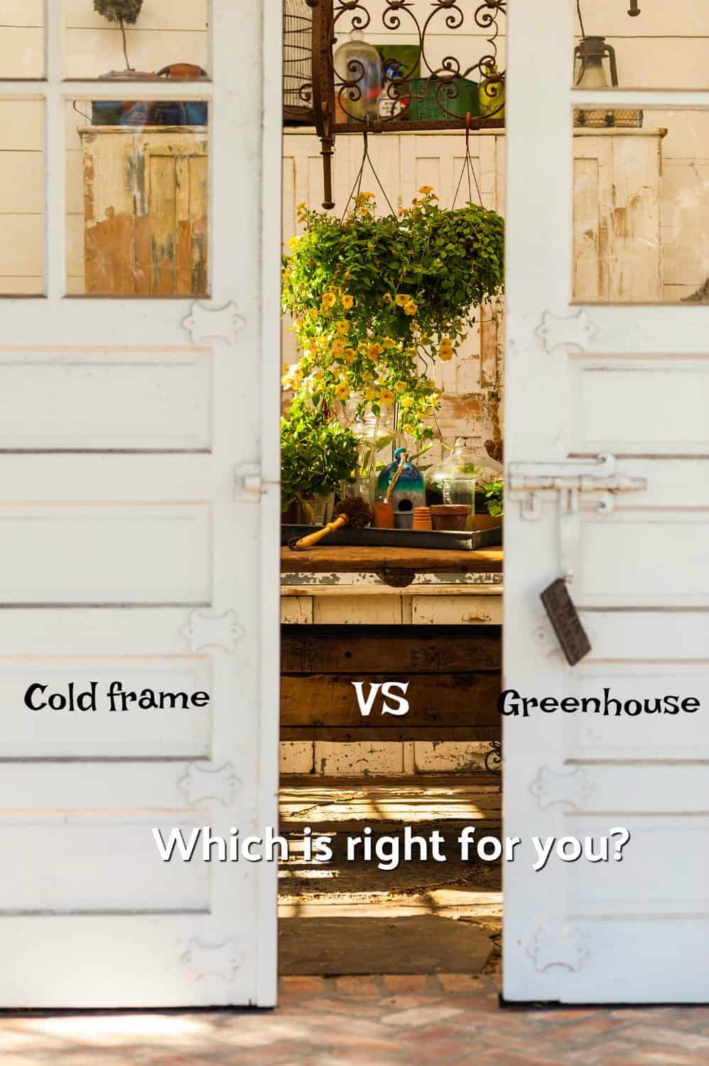 cold frame vs greenhouse
