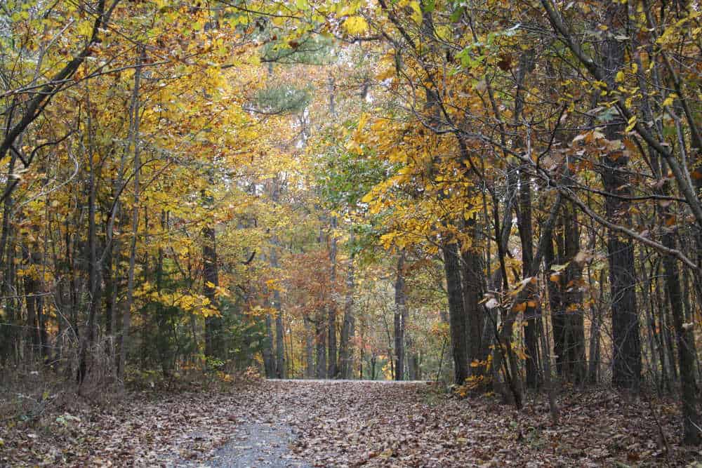 Fall Farm Planning