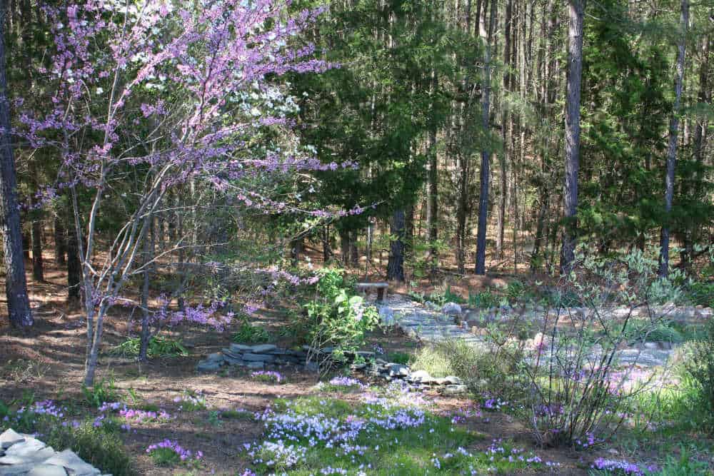 Beautiful Hillside Garden