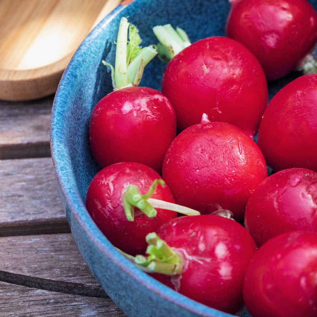 radishes in a blue bowl