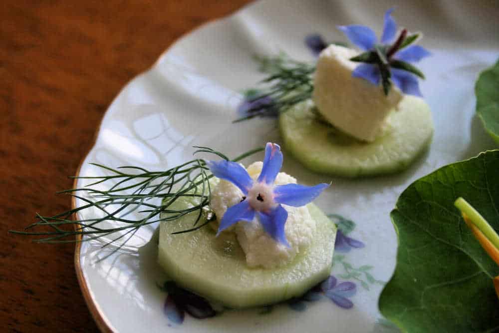 picture of borage flowers used in recipe