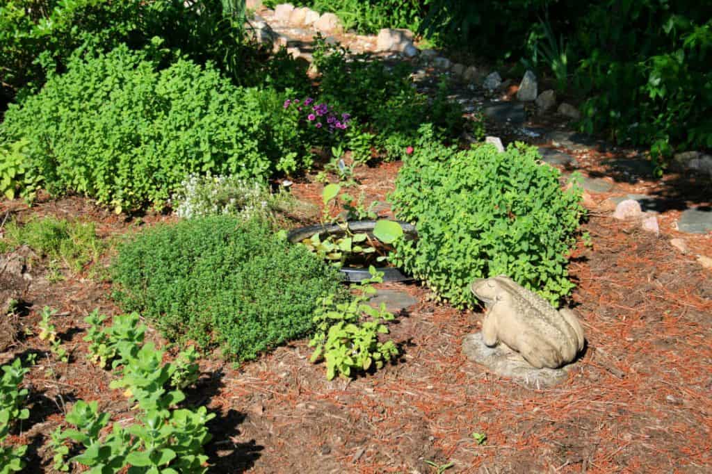 a picture of an herb garden