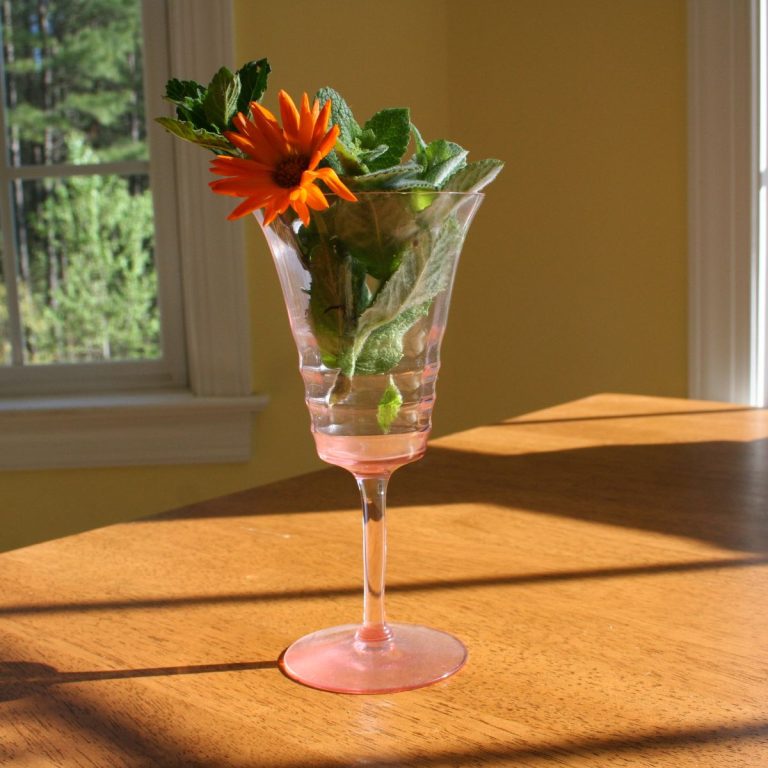 herbs and flowers in a pink wine glass