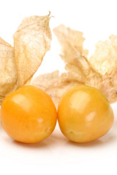 closeup picture of ground cherries