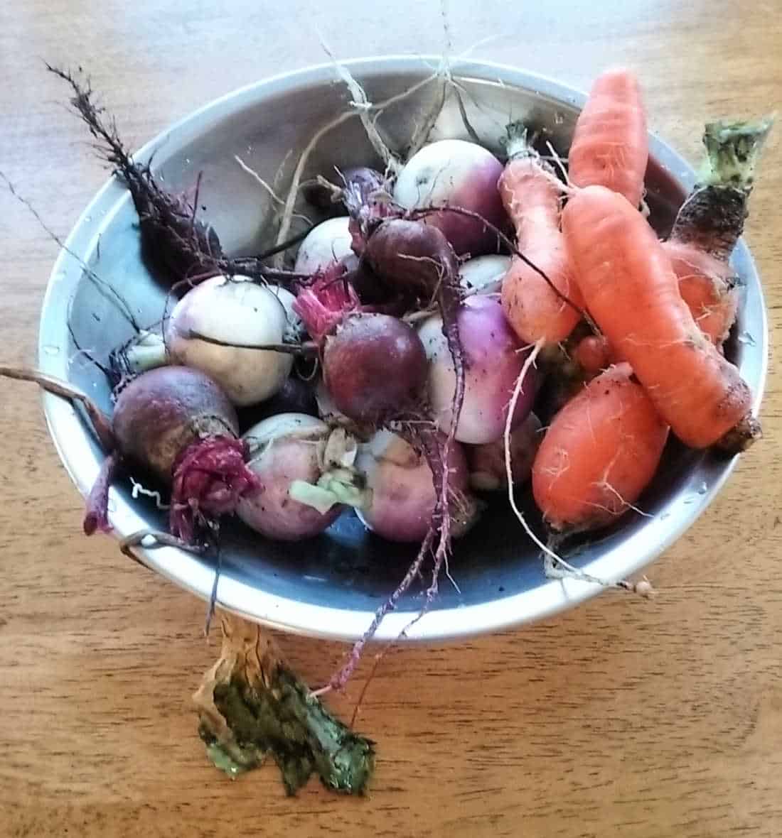 a picture of winter vegetables from the garden