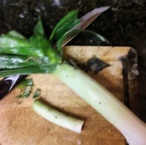 photo of leeks