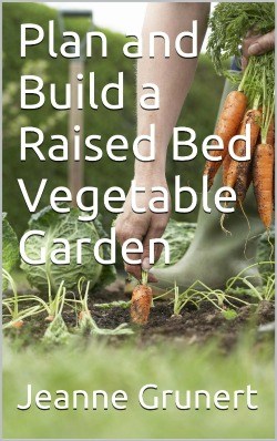 cover of plan and build a raised bed garden