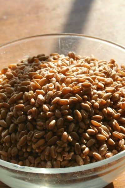 cooking wheat berries