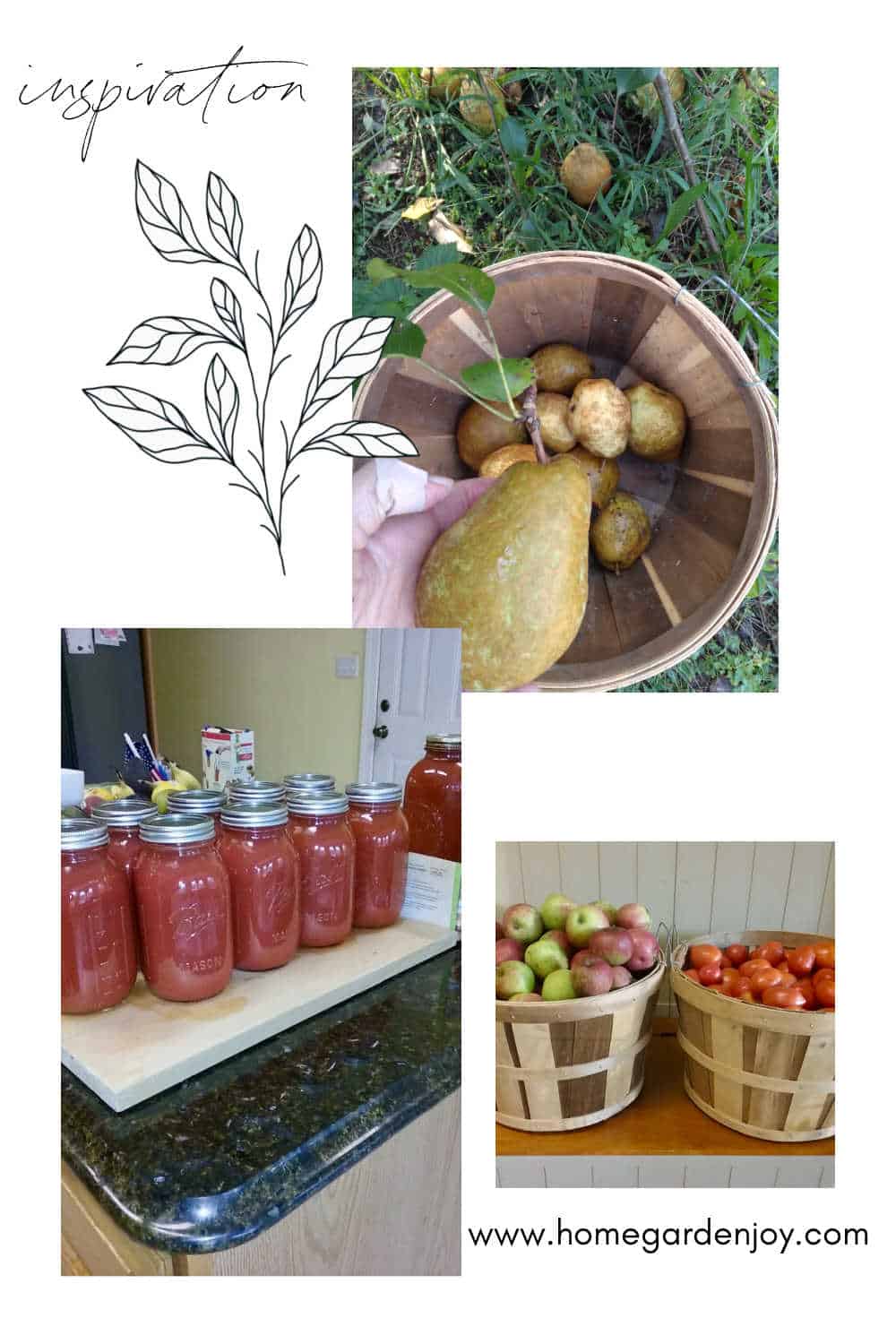 home canning inspiration board
