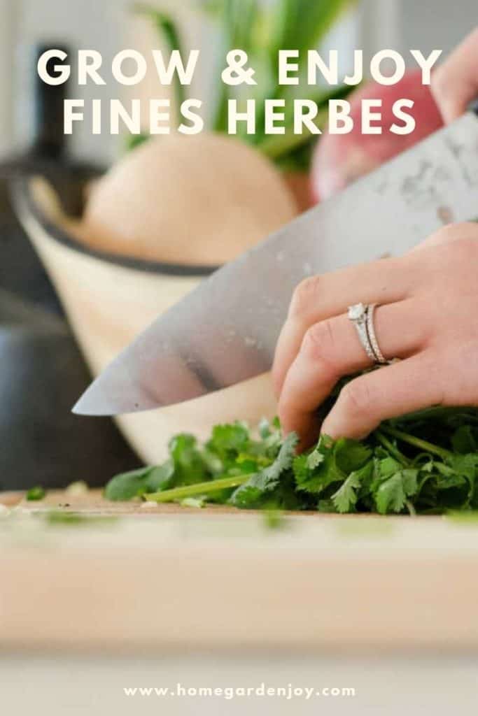 a woman chopping fines herbes