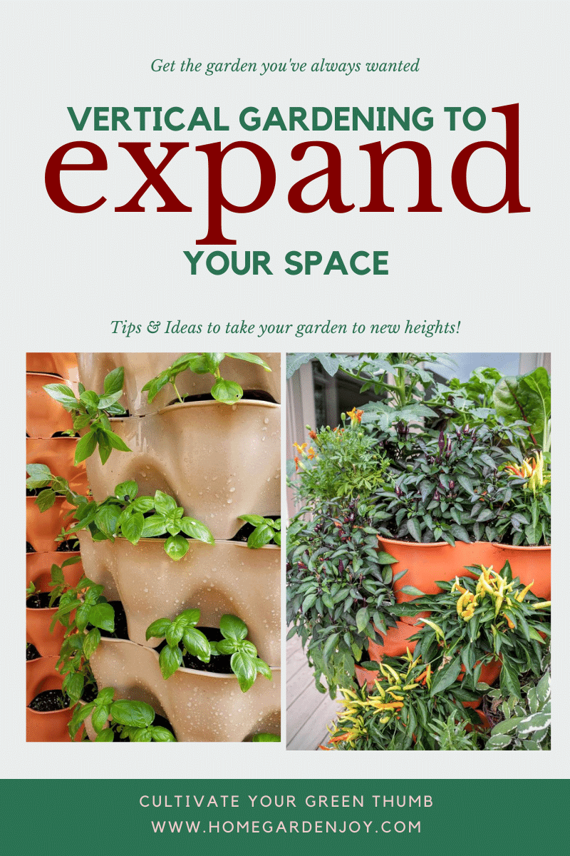 vertical gardening to expand your space