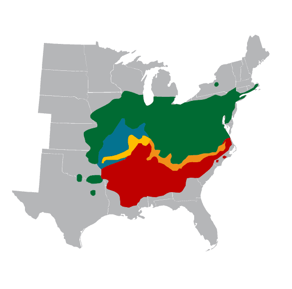 a map showing the area where the periodic cicada emerges
