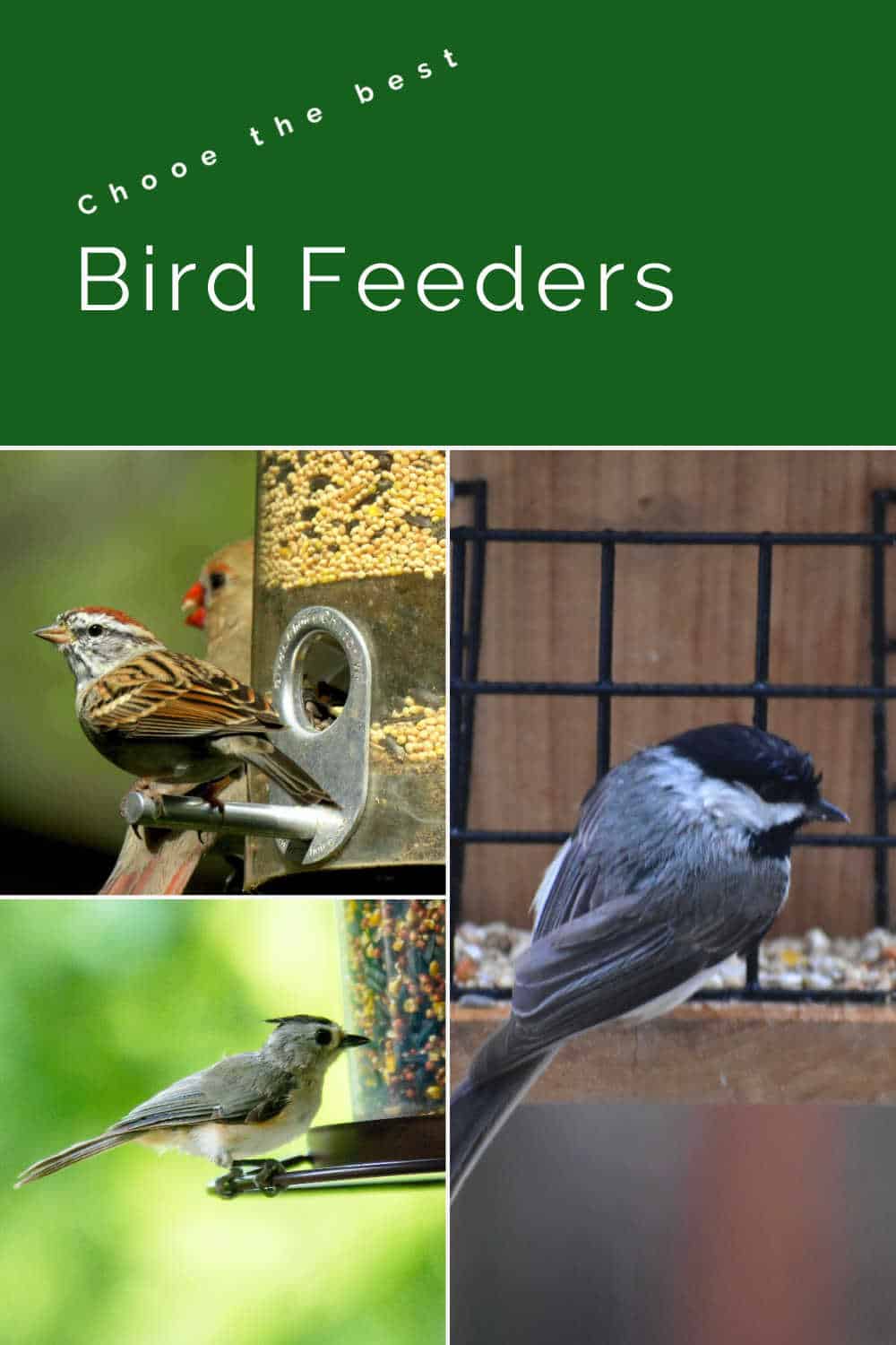 three pictures of birds on a bird feeder