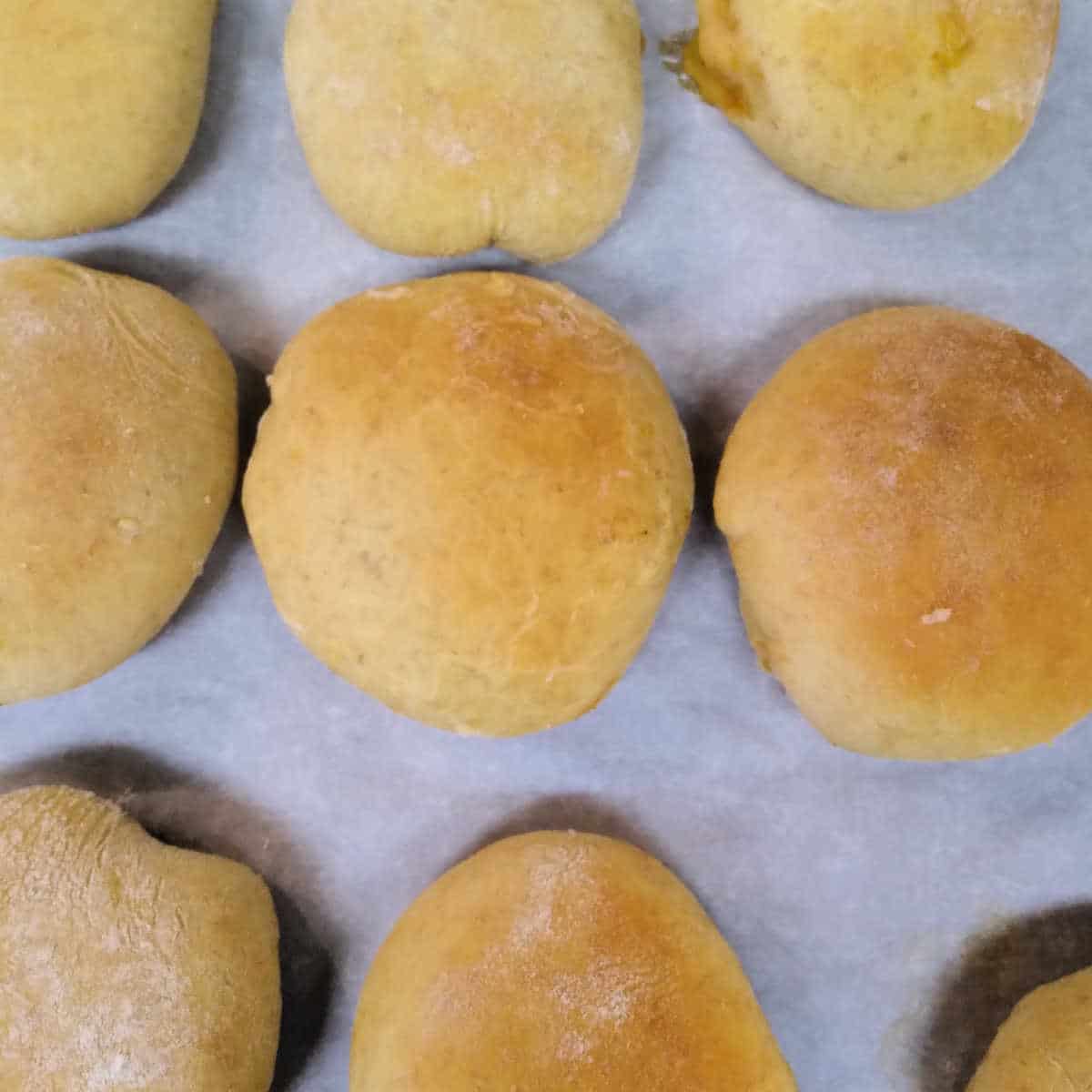 bierock sandwiches on the baking tray