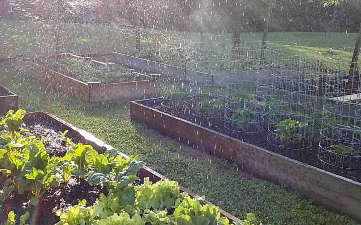 water droplets in sunbeams over a raised bed vegetable garden