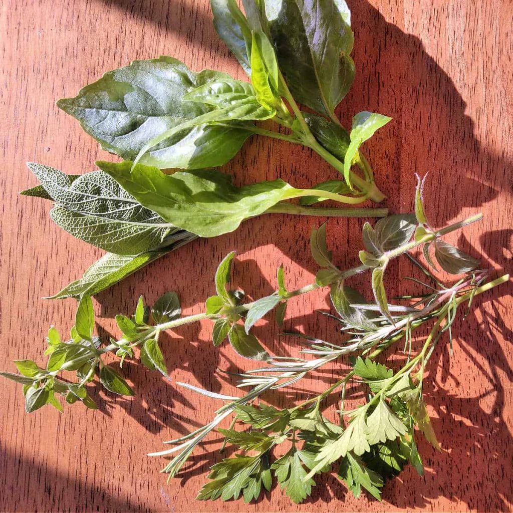 oregano, rosemary, parsley, sage, and basil on a table