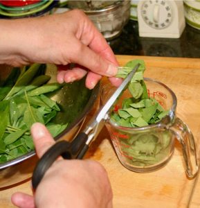 chopping fresh sage leaves with scissors