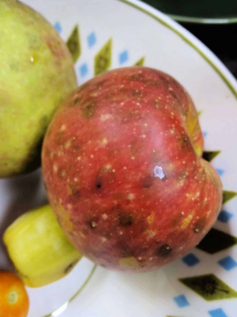 apple in a bowl