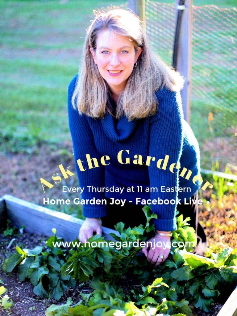 Home Garden Joy: The Kitchen Garden Reimagined - Home Garden Joy