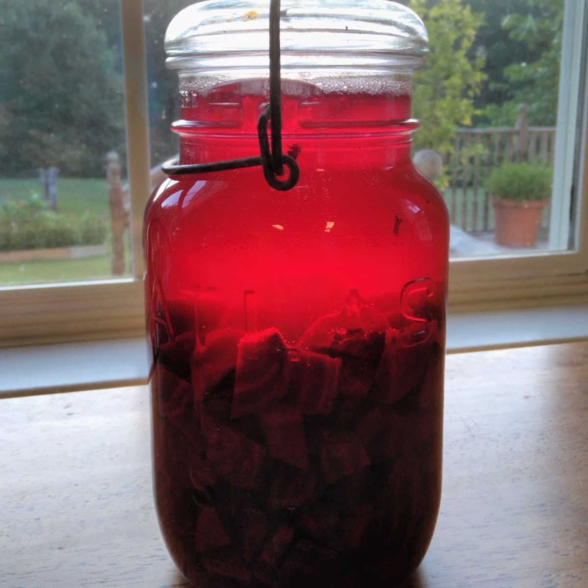 beet kvass in a canning jar on the kitchen table