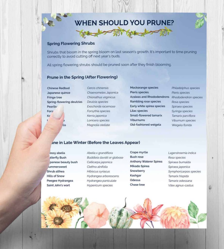 a chart showing when to prune plants 