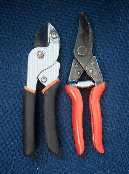 anvil pruners and scissor pruners