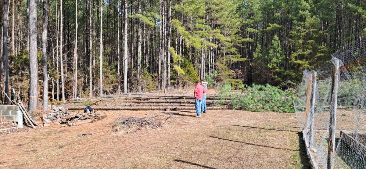 Two men standing near the edge of the woods.