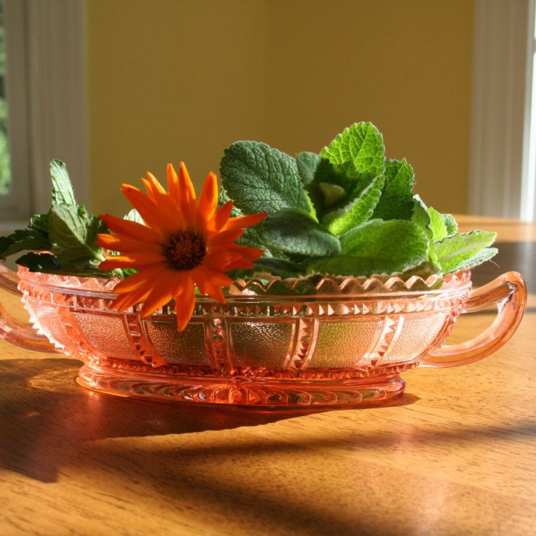 herbs in a pink dish