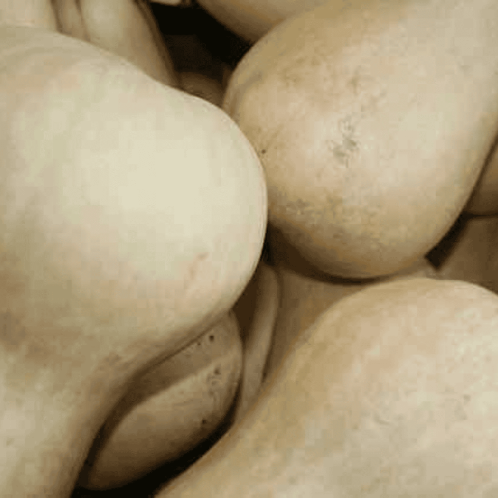 close up of butternut squash