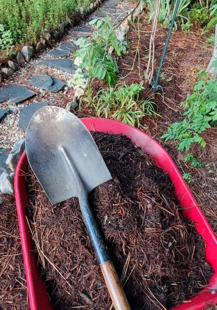 a red wheelbarrow full of hardwood mulch, covered by a shovel