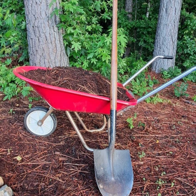 a red wheelbarrow filled with mulch with a shovel leaning against it