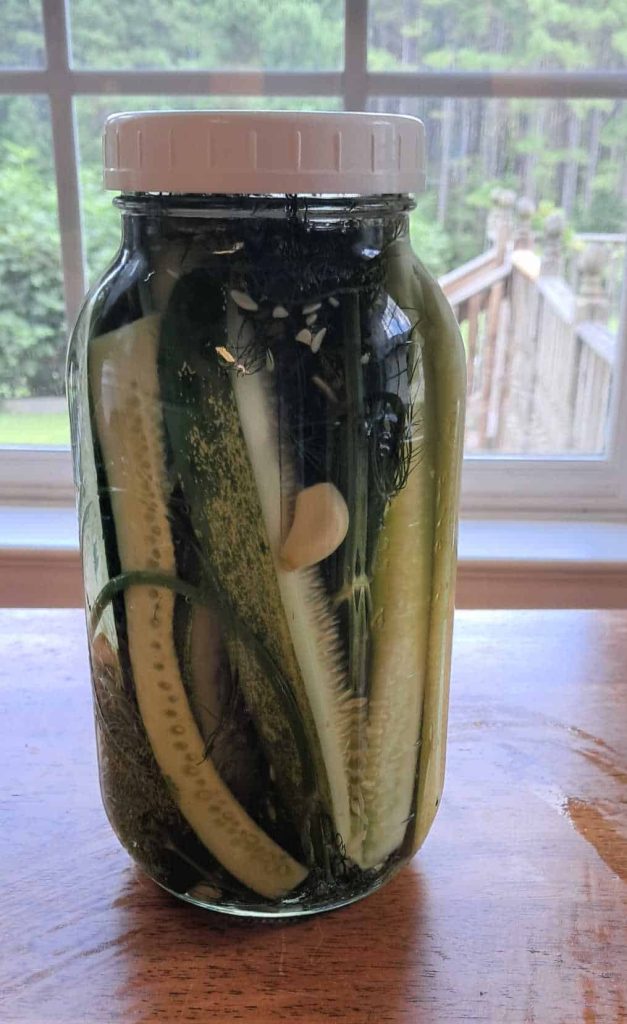 a jar of refrigerator pickle spears ready to go into the refrigerator where they are stored