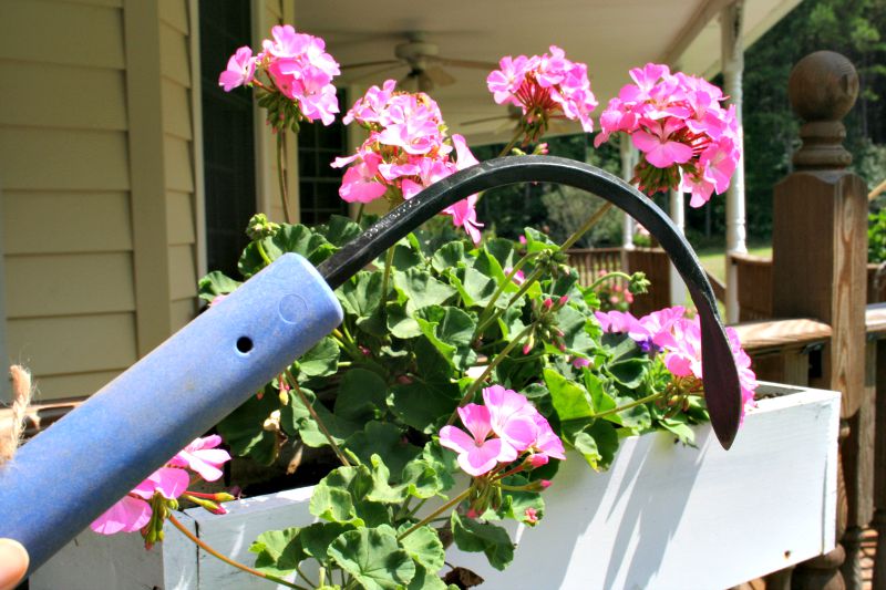 CobraHead weeding tool