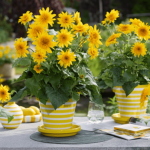 Sunfinity sunflowers in pots