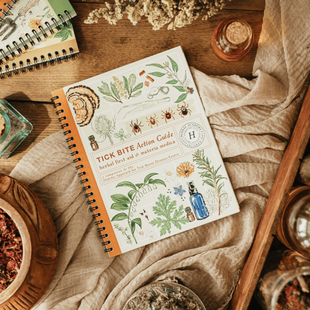 herbal academy course photo