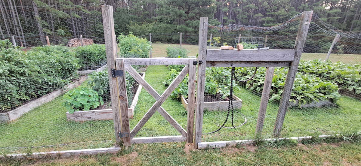 the gate into a beautiful raised bed vegetable garden.